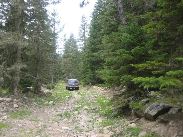 Bolu SarÃƒÂƒÃ‚Â„ÃƒÂ‚Ã‚Â±alan Offroad MayÃƒÂƒÃ‚Â„ÃƒÂ‚Ã‚Â±s  2010 127.jpg