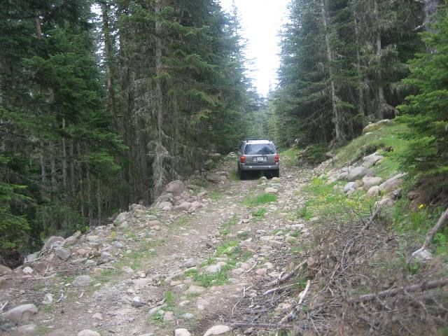 Bolu SarÃƒÂƒÃ‚Â„ÃƒÂ‚Ã‚Â±alan Offroad MayÃƒÂƒÃ‚Â„ÃƒÂ‚Ã‚Â±s  2010 130.jpg