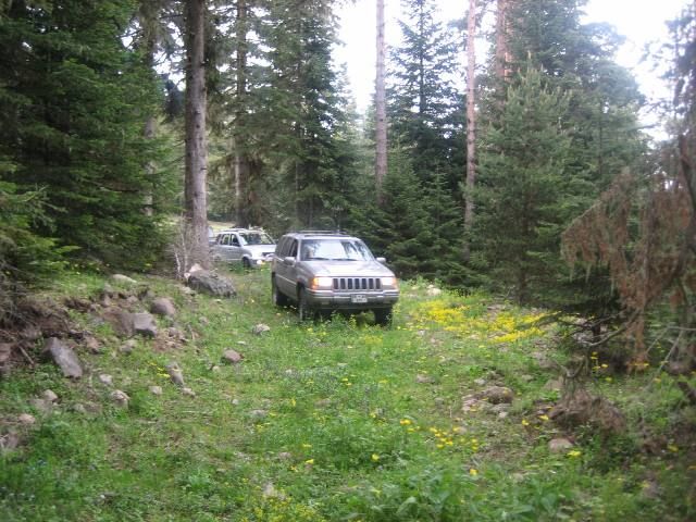 Bolu SarÃƒÂƒÃ‚Â„ÃƒÂ‚Ã‚Â±alan Offroad MayÃƒÂƒÃ‚Â„ÃƒÂ‚Ã‚Â±s  2010 136.jpg