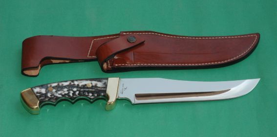 bora_black bear_boynuzsap.jpg