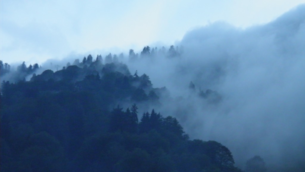 borÃƒÂƒÃ‚ÂƒÃƒÂ‚Ã‚Â§ka karagÃƒÂƒÃ‚ÂƒÃƒÂ‚Ã‚Â¶l. (105).JPG