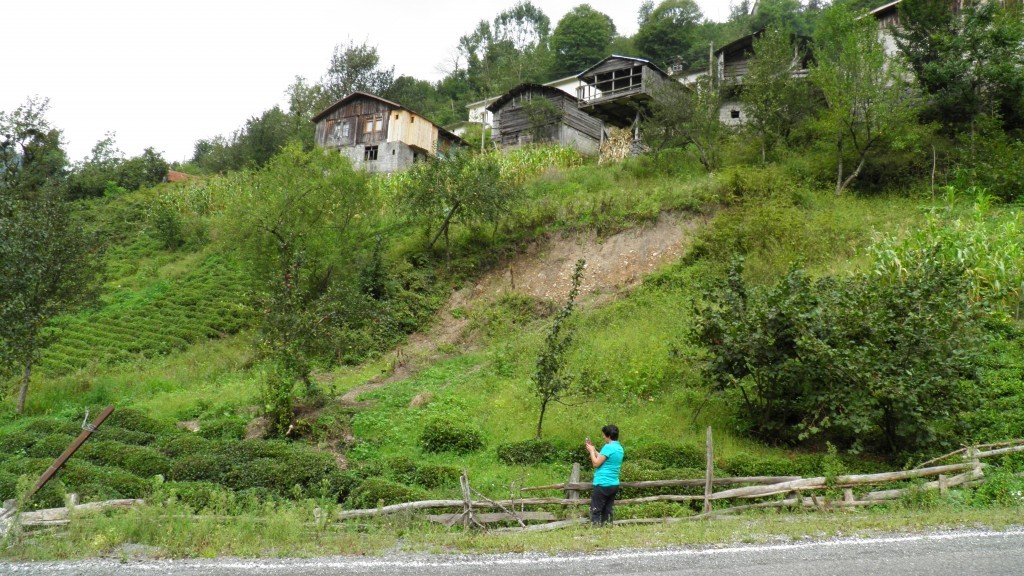 borÃƒÂƒÃ‚ÂƒÃƒÂ‚Ã‚Â§ka karagÃƒÂƒÃ‚ÂƒÃƒÂ‚Ã‚Â¶l. (30).JPG