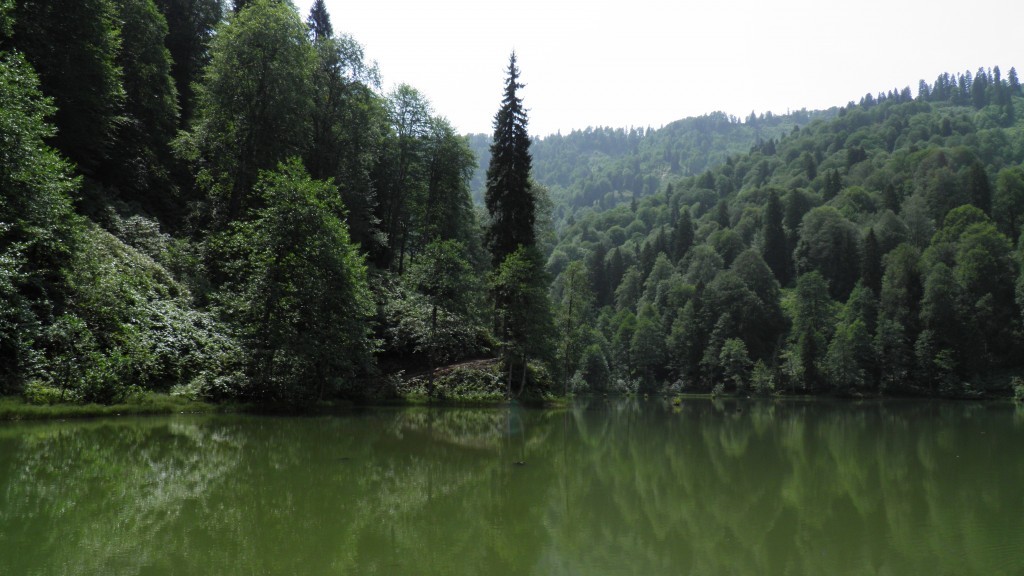 borÃƒÂƒÃ‚ÂƒÃƒÂ‚Ã‚Â§ka karagÃƒÂƒÃ‚ÂƒÃƒÂ‚Ã‚Â¶l. (37).JPG