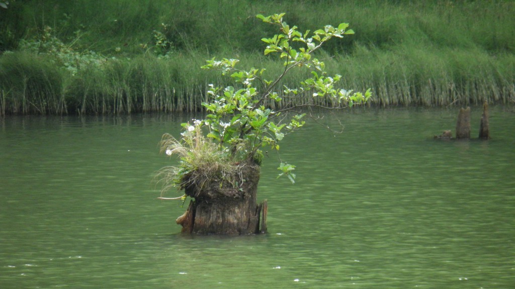 borÃƒÂƒÃ‚ÂƒÃƒÂ‚Ã‚Â§ka karagÃƒÂƒÃ‚ÂƒÃƒÂ‚Ã‚Â¶l. (57).JPG