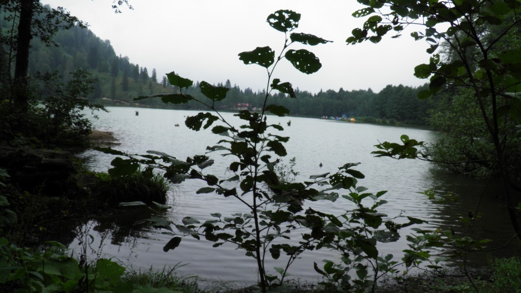 borÃƒÂƒÃ‚ÂƒÃƒÂ‚Ã‚Â§ka karagÃƒÂƒÃ‚ÂƒÃƒÂ‚Ã‚Â¶l. (61).JPG