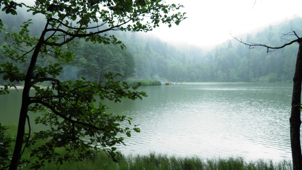 borÃƒÂƒÃ‚ÂƒÃƒÂ‚Ã‚Â§ka karagÃƒÂƒÃ‚ÂƒÃƒÂ‚Ã‚Â¶l. (79).JPG