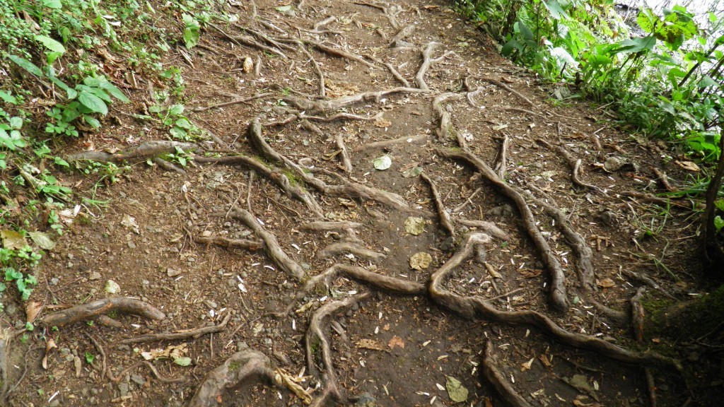 borÃƒÂƒÃ‚ÂƒÃƒÂ‚Ã‚Â§ka karagÃƒÂƒÃ‚ÂƒÃƒÂ‚Ã‚Â¶l. (80).JPG