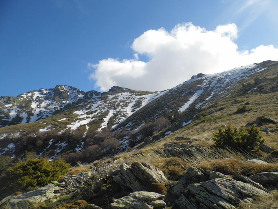 BozdaÃƒÂƒÃ‚Â„ÃƒÂ‚Ã‚ÂŸ T - 09.jpg