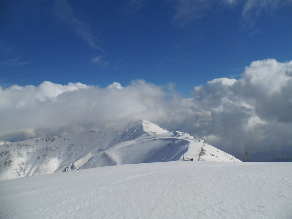 BozdaÃƒÂƒÃ‚Â„ÃƒÂ‚Ã‚ÂŸ T - 28.jpg