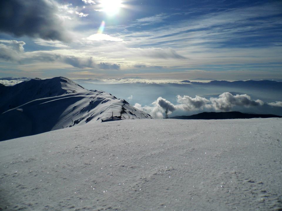 BozdaÃƒÂƒÃ‚Â„ÃƒÂ‚Ã‚ÂŸ T - 41.jpg