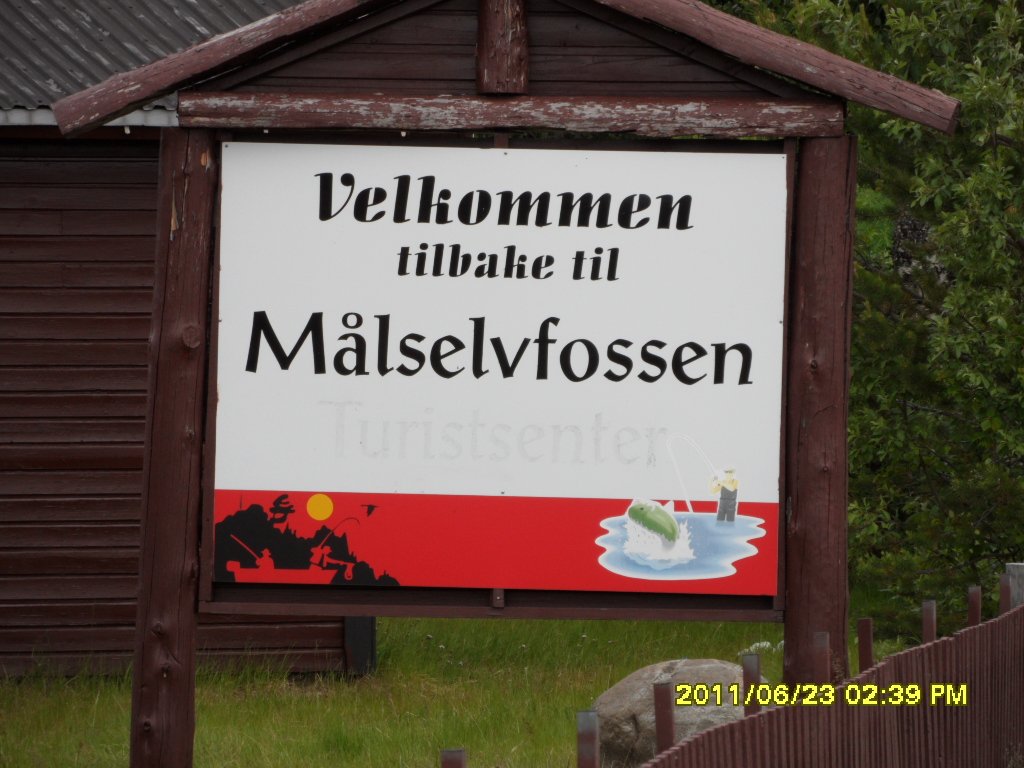 Bu Selale E06 yolundan fazla uzakta degil..JPG