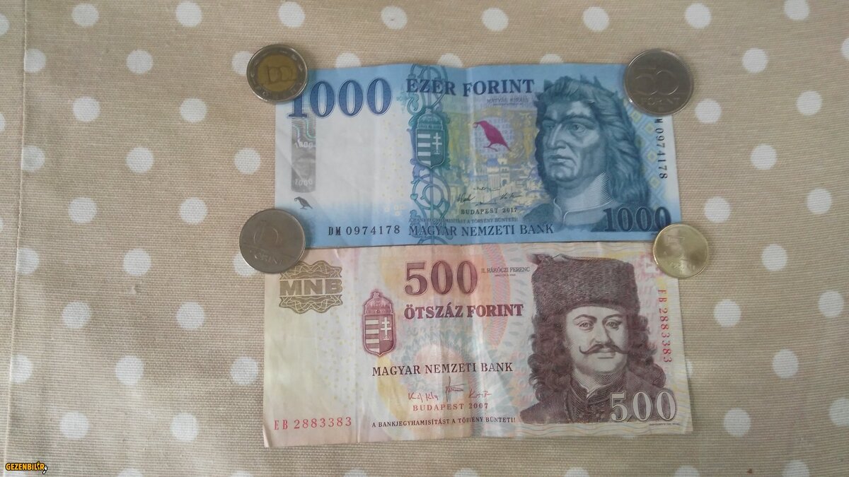 BUDAPEŞTE MACARİSTAN 24 07 2018 (1).jpg