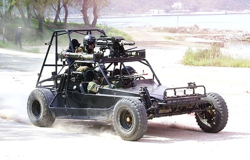 Buggy 1.jpg