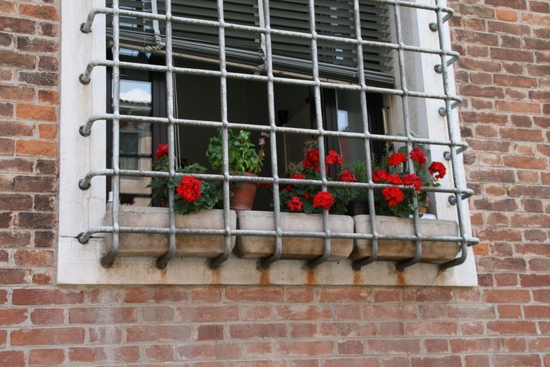 Burano Canon 011.JPG