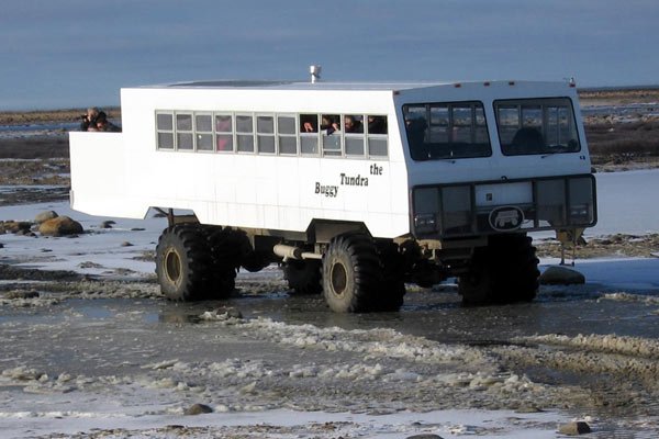 Canada tundra buggy2