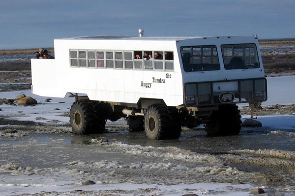 canada-tundra-buggy2.jpg