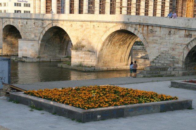 CANON 2011TATÃƒÂƒÃ‚Â„ÃƒÂ‚Ã‚Â°L 1682.JPG