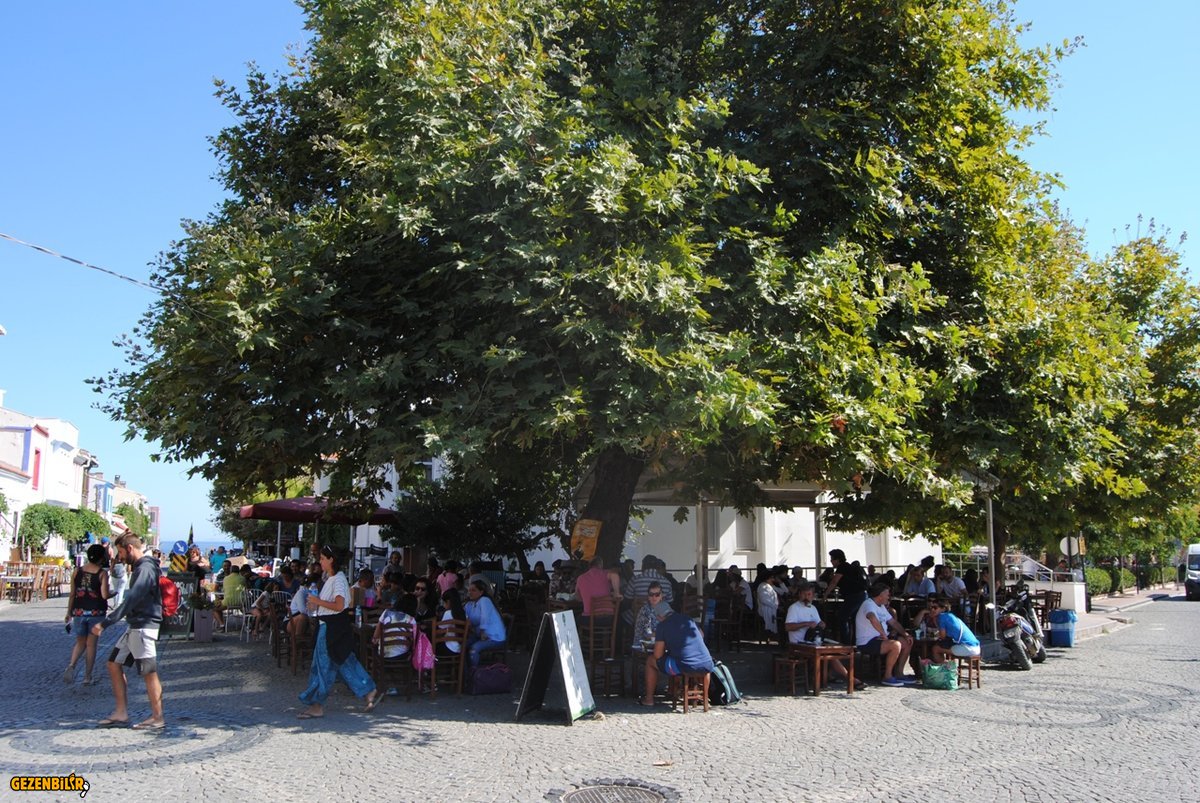 cay-bahcesi-bozcaada.JPG