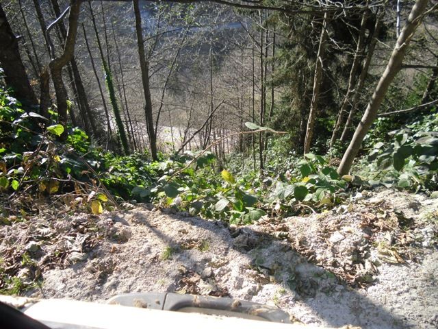 CIMG0379.jpg