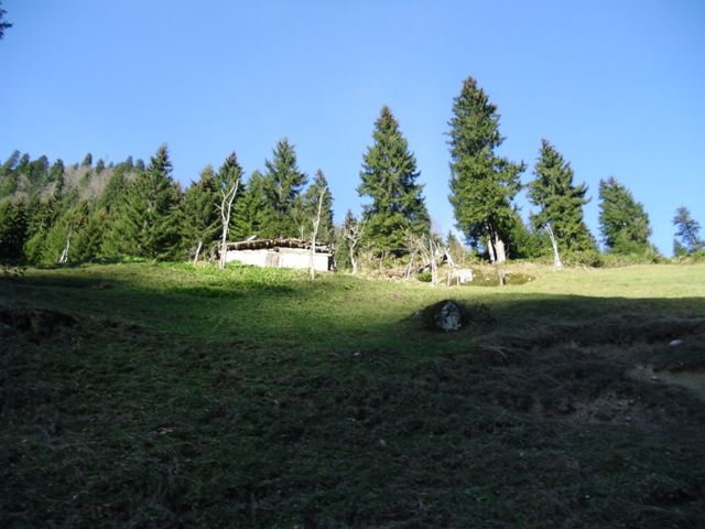 CIMG0382.jpg