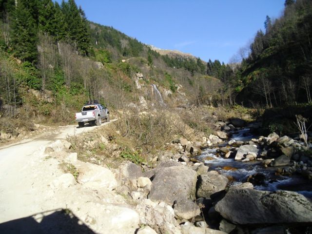 CIMG0383.jpg