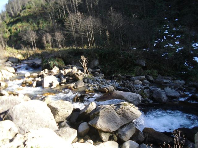 CIMG0384.jpg