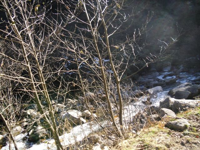 CIMG0385.jpg