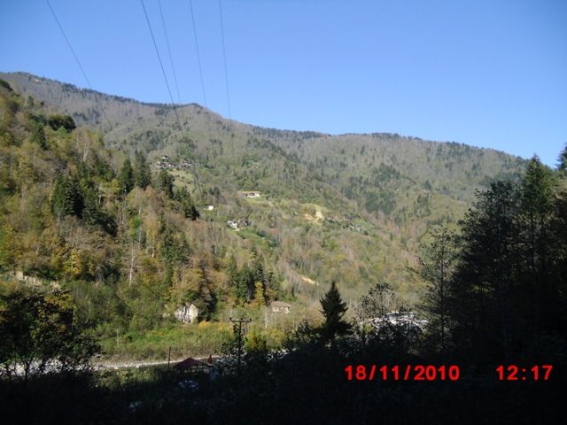CIMG0413.jpg