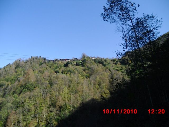 CIMG0416.jpg
