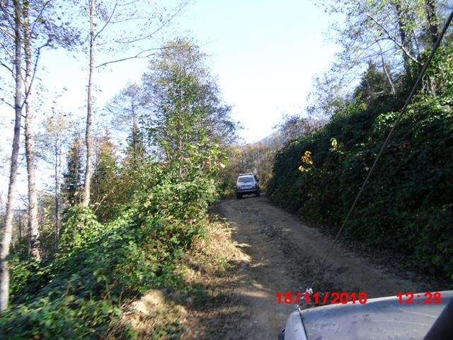 CIMG0420.jpg