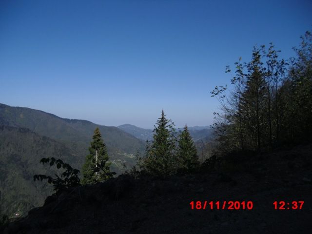 CIMG0427.jpg