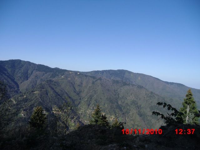 CIMG0428.jpg