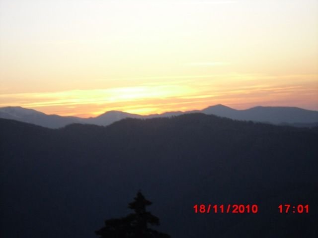 CIMG0450.jpg
