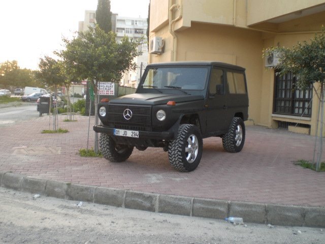 CIMG0567.JPG