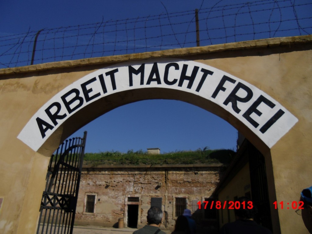 CIMG3029 (Large).JPG