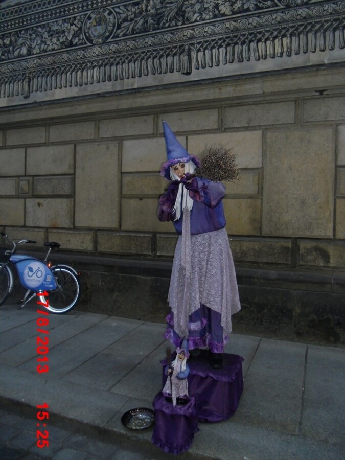 CIMG3074 (Large).JPG