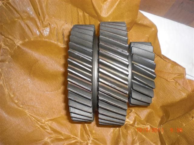 CIMG4113 (Small).jpg