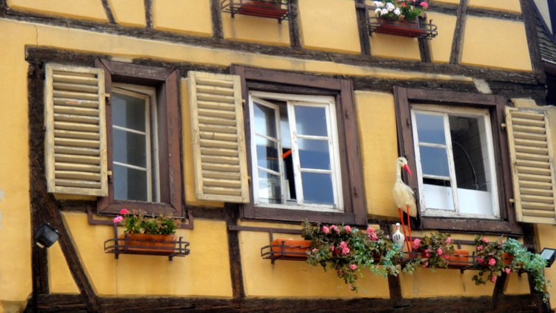 colmar 101-001.JPG