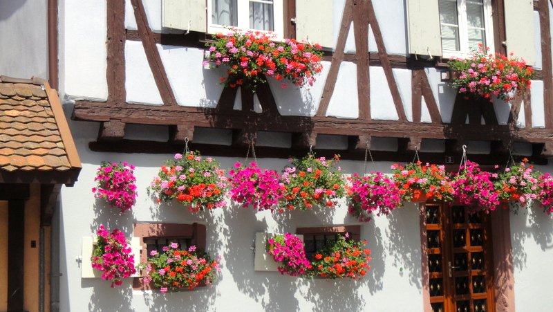 colmar 202.JPG