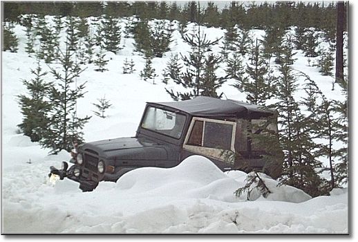 coolfj40_2013_502641541.jpg