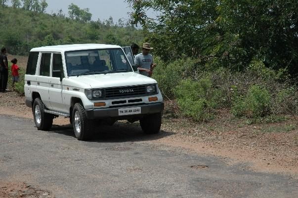 Copy of DSC_0245.jpg