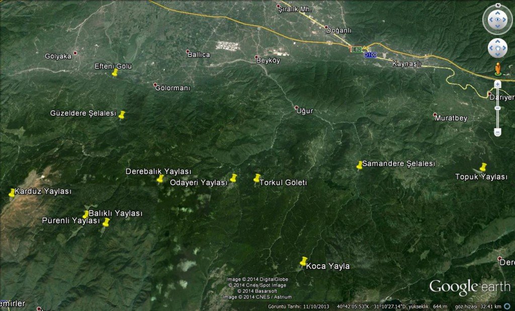 DÃƒÂƒÃ‚ÂƒÃƒÂ‚Ã‚Â¼zce Yayla.jpg