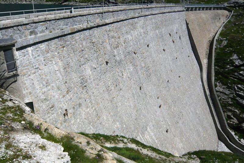 dam-21.jpg