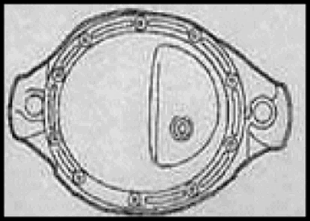 DANA35 [HDTV (1080)].jpg