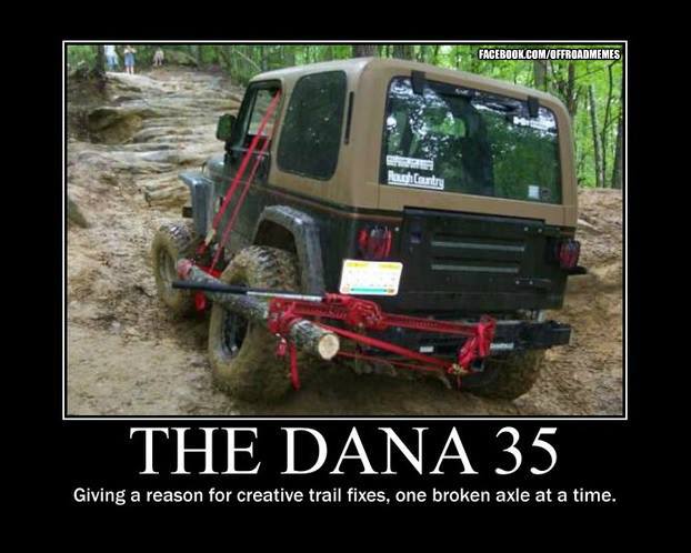 Dana35.jpg
