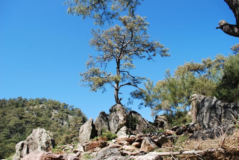 dapdingil aÃƒÂƒÃ‚Â„ÃƒÂ‚Ã‚ÂŸaÃƒÂƒÃ‚ÂƒÃƒÂ‚Ã‚Â§_800x536.jpg