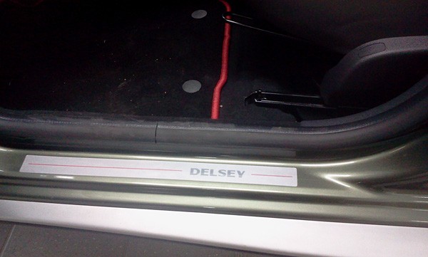 delsey04.jpg