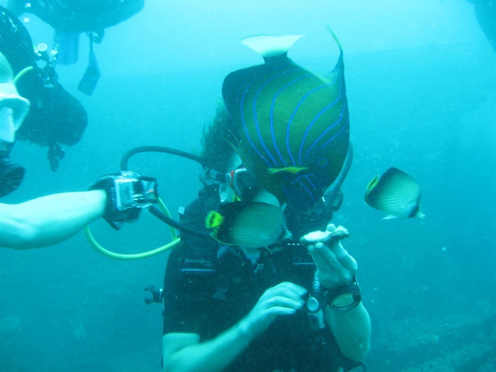 Dive (102) (Large).JPG