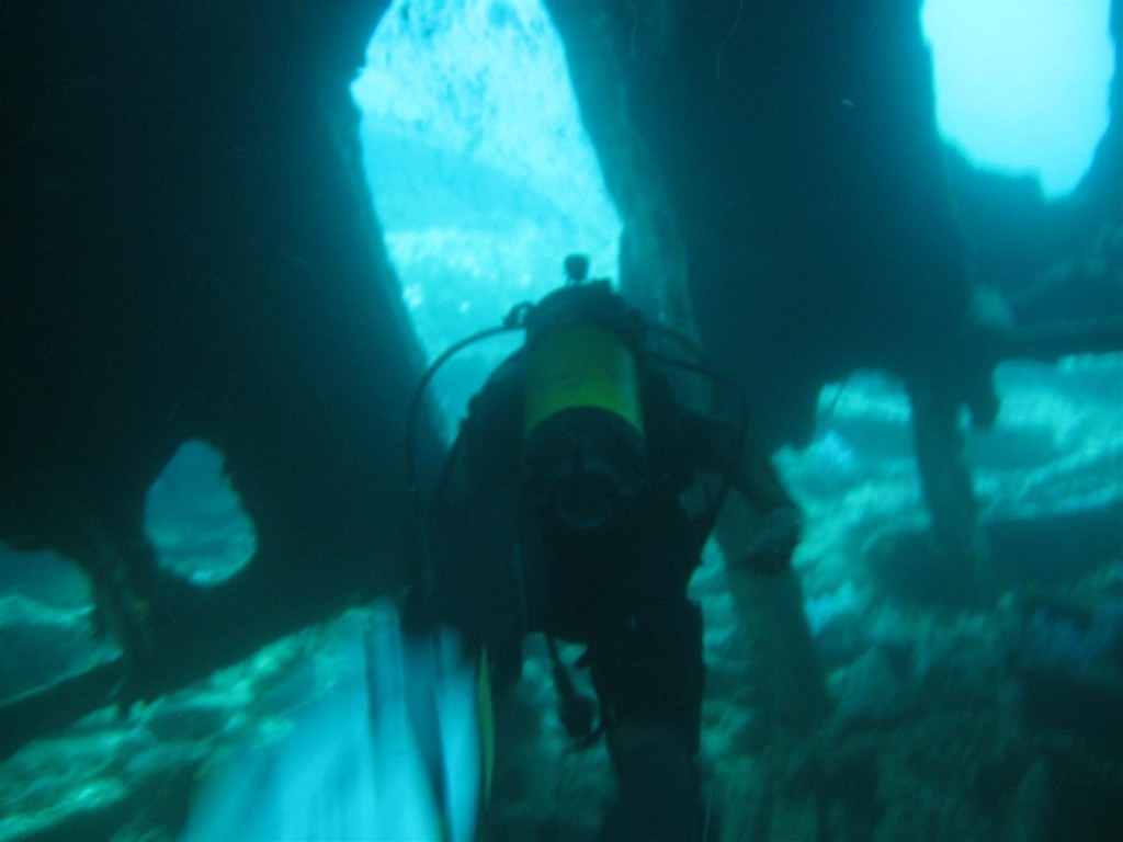 Dive (71) (Large).JPG