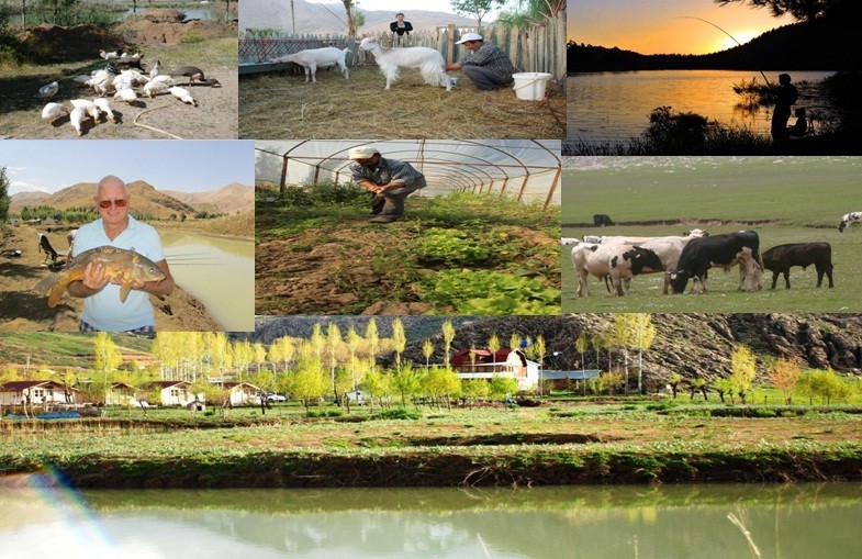 doÃƒÂƒÃ‚Â„ÃƒÂ‚Ã‚ÂŸal yaÃƒÂƒÃ‚Â…ÃƒÂ‚Ã‚ÂŸam.jpg